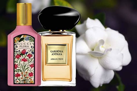 gardenia perfume dupe|gardenia perfumes for women.